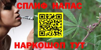 стаф Ливны