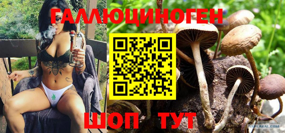 Уссурийск  Галлюциногенные грибы Psilocybe  Вход с VPN 